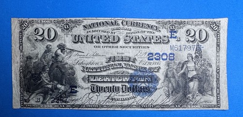 1895 $20 National Currency Lehighton Pennsylvania (7975)