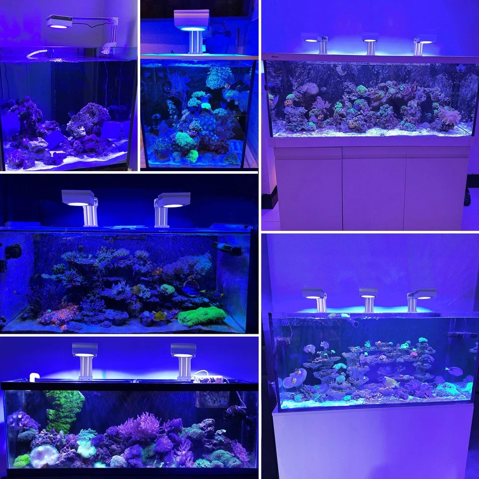 PopBloom RL90 WiFi Marine LED Aquarium Reef Light Full Spectrum Coral Reef Light - Image 2 of 4