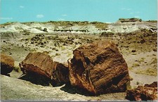 Petrified Logs In Jasper Forest, Petrified Forest National Park Arizona Postcard