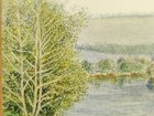 Afbeelding 19 van 24