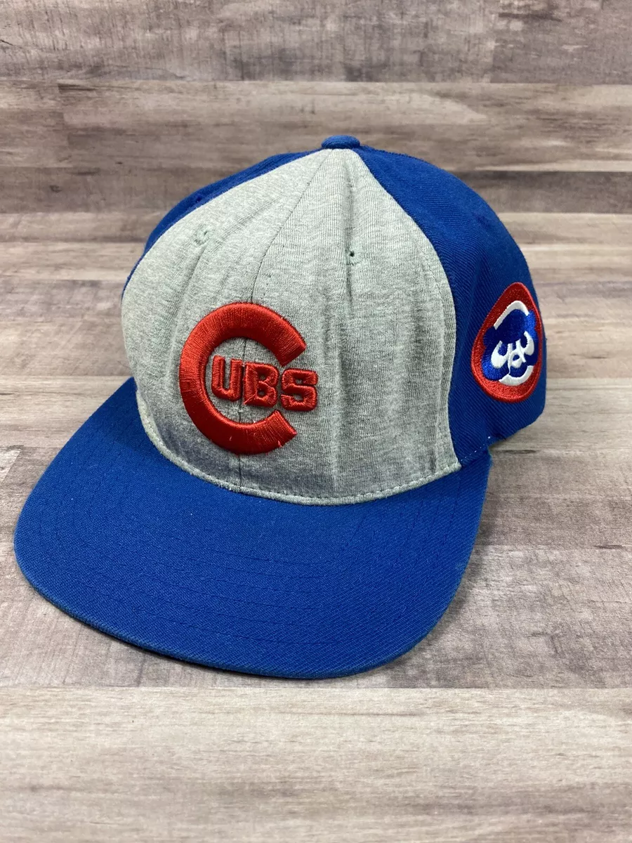 Cubs carhartt on sale hat ebay
