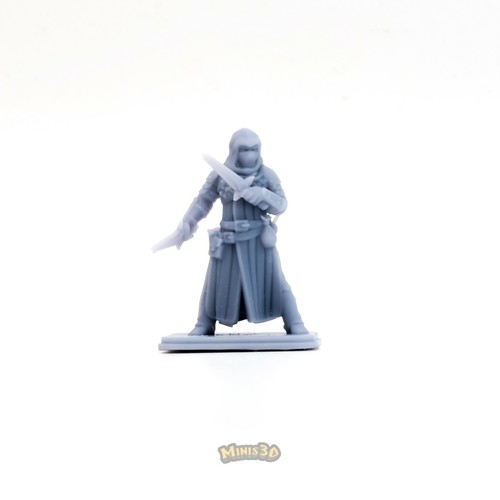 Assassin - HQ - Minis3D - Imagen 6 de 10