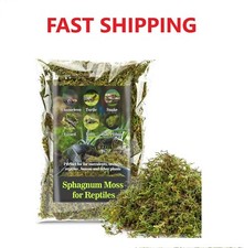 Sukh Sphagnum Moss for Reptiles - Terrarium Peat green.