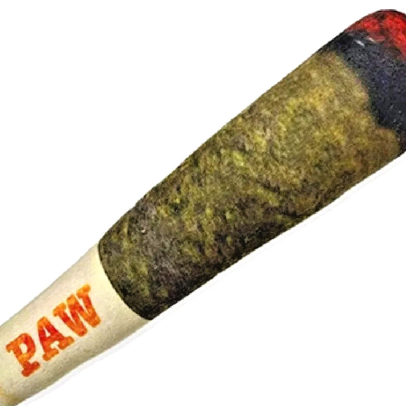 Funny Cigar Design Plush Dog Toy Squeaky Interactive Chew Gi