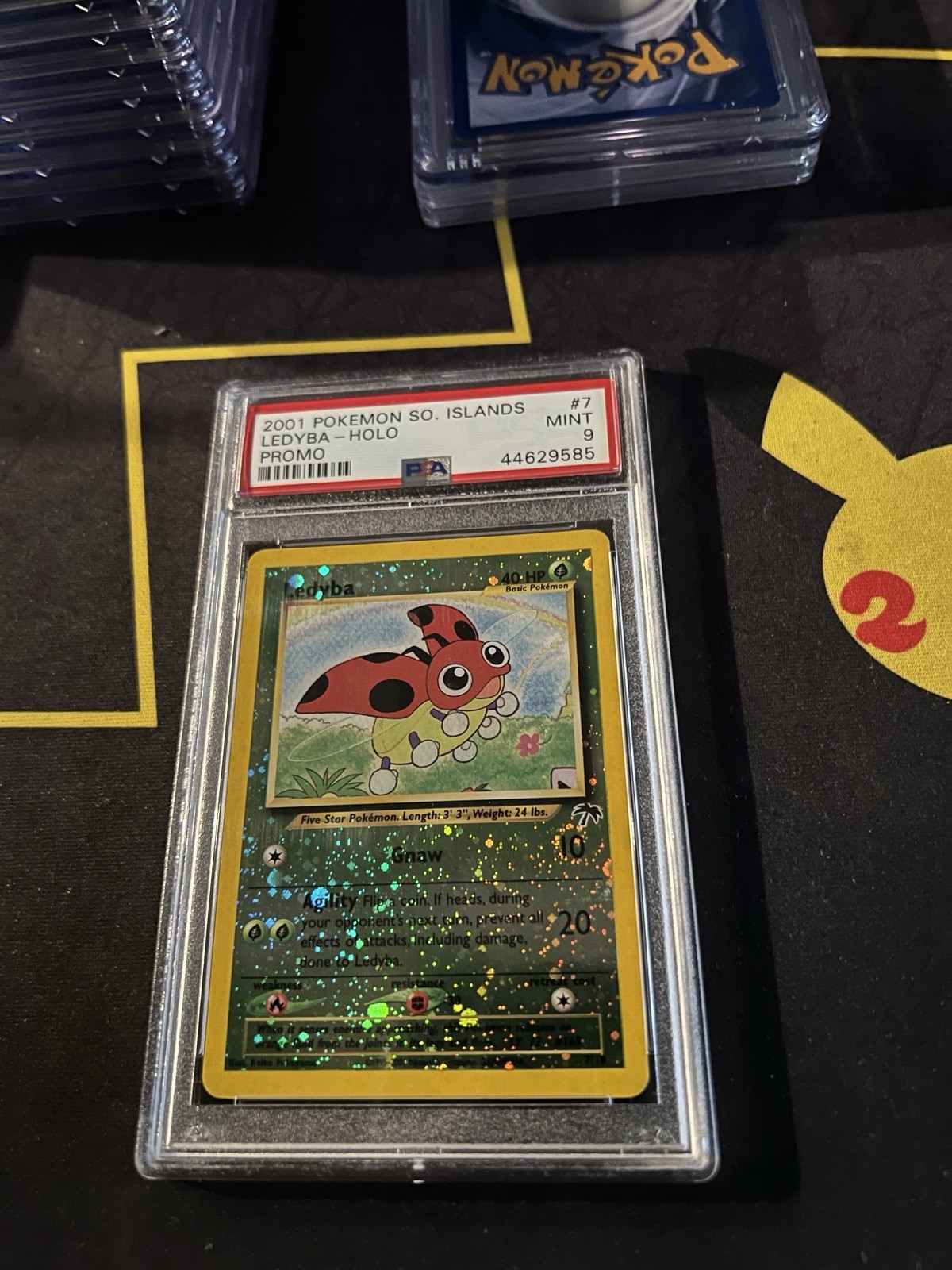 Pokemon Ledyba Southern Islands Holo Promo #7 PSA 9 Mint