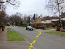Photo 8x6 White Hart Wood, Sevenoaks Hubbard's Hill c2016