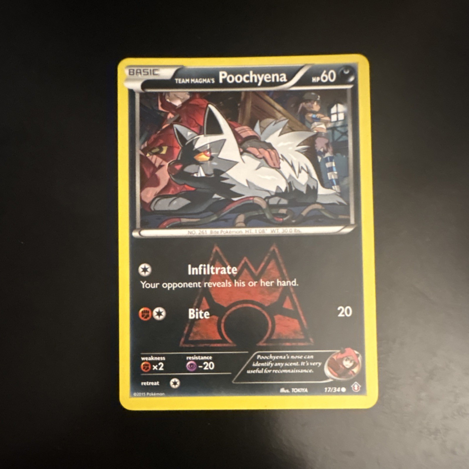 The Pokémon Company Team Magma's Poochyena 17/34 Double Crisis Common Basic 60 …