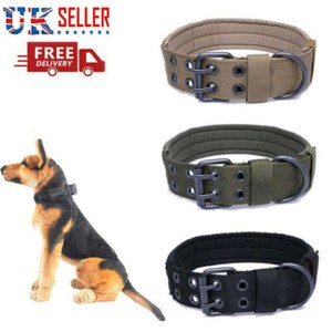 large breed dog training collars