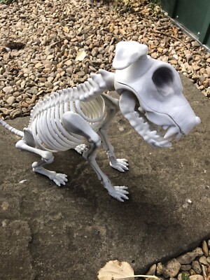 halloween dog bones