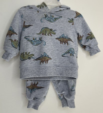 Carter's Baby Boy 3M Gray Dinosaur Hoodie  Jogger Pants 2pc Sweatshirt Set P-O
