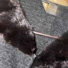Vintage Hyman Costume Persian Lamb Fur Coat Mink Collar Passaic NJ Black — photo 2