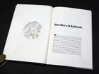 Picture 4 of 7