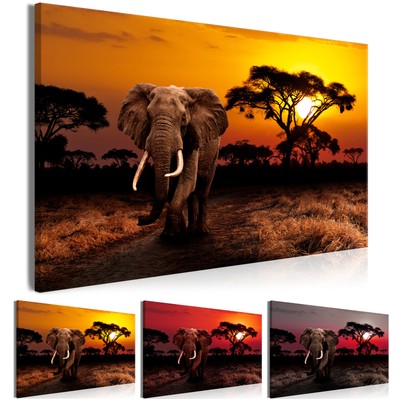 Elefant Vlies Leinwandbild 1 tlg Wanbilder XXL Wand Bild Tier Afrika Wüste Bild