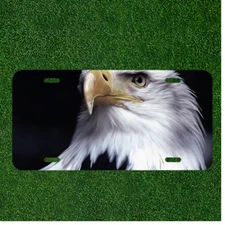 Creative License Plate Auto Tag With American Eagle Design