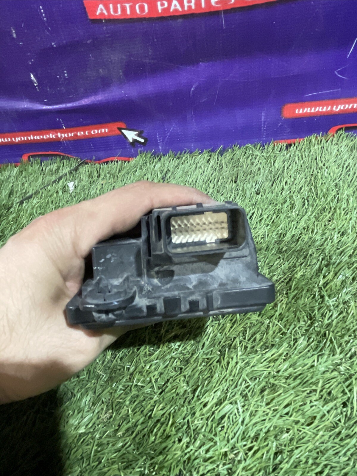 Picture 4 of 4