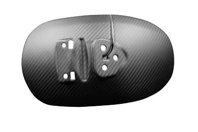 Carbon Hinteres Schutzblech für Triumph Trident 660