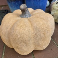Deko KüRbis Orange 19X15 Cm KüRbis Herbstdeko Herbst Halloween Terrakotta GroßEr
