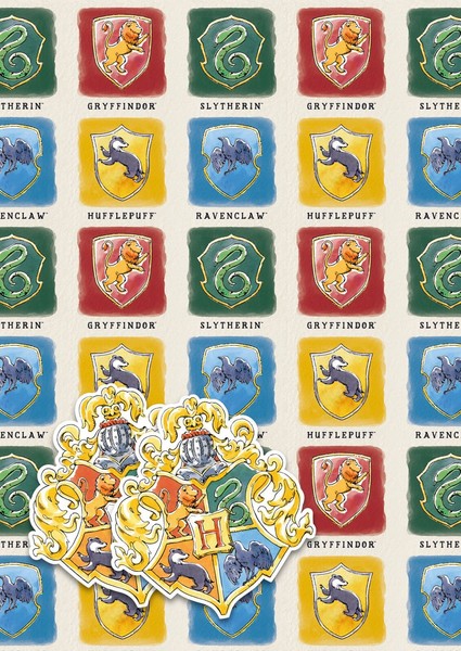 Geschenkpapier GeschenkanhäNgern Harry Potter 2 BöGen Geschenkverpackung 50X70-image