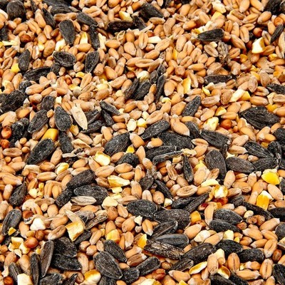 Wild Bird Food Seed - High Energy All Year Mix | eBay UK