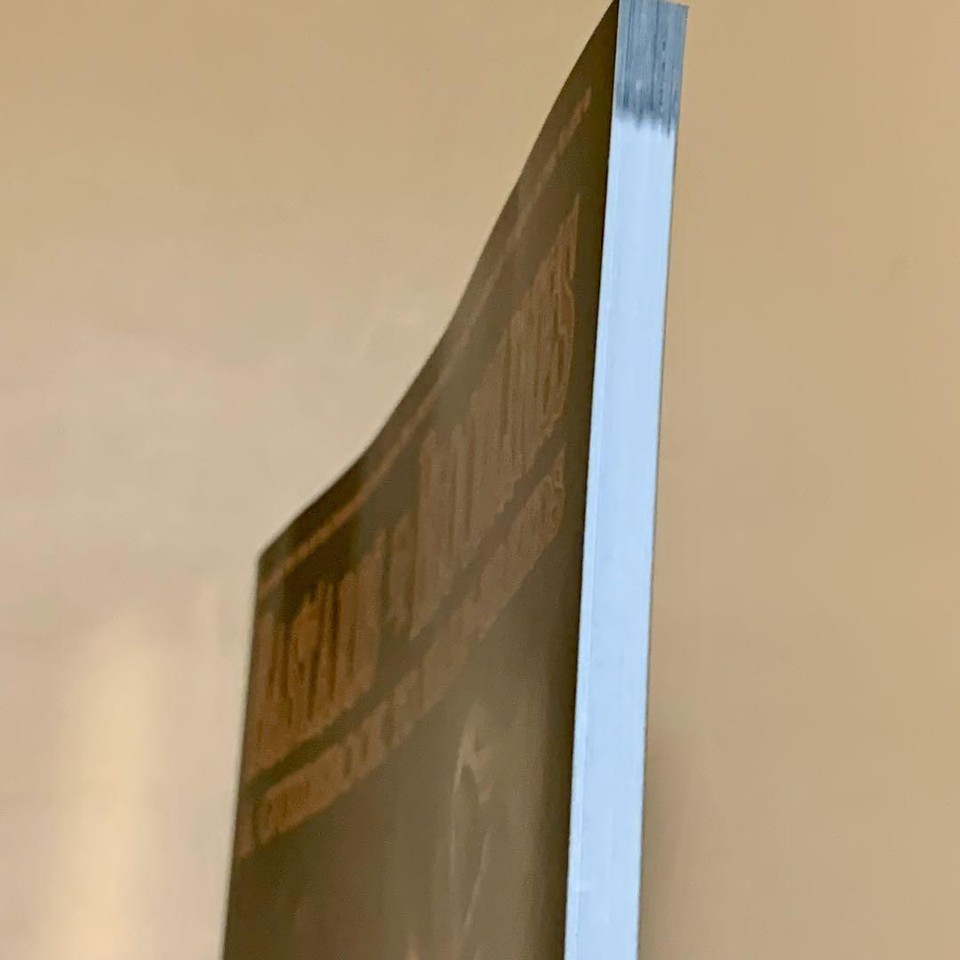 D20 Bastards And Bloodlines eBay