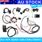 <!--F#f_0-->Electric Wiring Harness Loom CDI Stator Set For 4 Stroke ATV QUAD 150/200/250CC<!--F/-->