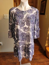  DR 2 Daniel Rainn MED Blue White Paisley Print  Dress. NWOT