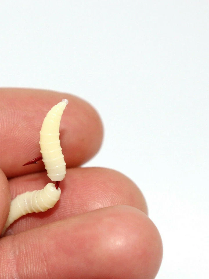 40x Künstliche Maden | Hakenköder Gummimaden Angelmaden Angelzubehör Köder - Bild 4 von 4