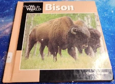 Bison; Our Wild World By Cherie Winner