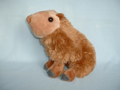 WILD REPUBLIC CUDDLEKINS 10 Zoll Capybara kuschelweiche Beanie Plüschtier TIER/NAGER