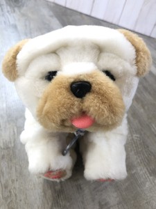 wrinkles my kissing puppy