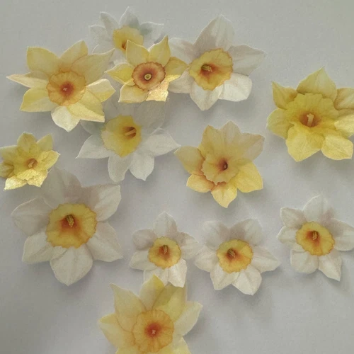 Yellow Pre-cut Edible Wafer Daffodils