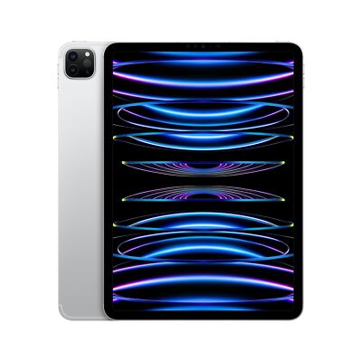 Apple iPad Pro 11'' Wi-Fi + Cellular 5G  256 GB silber 4.Generation.