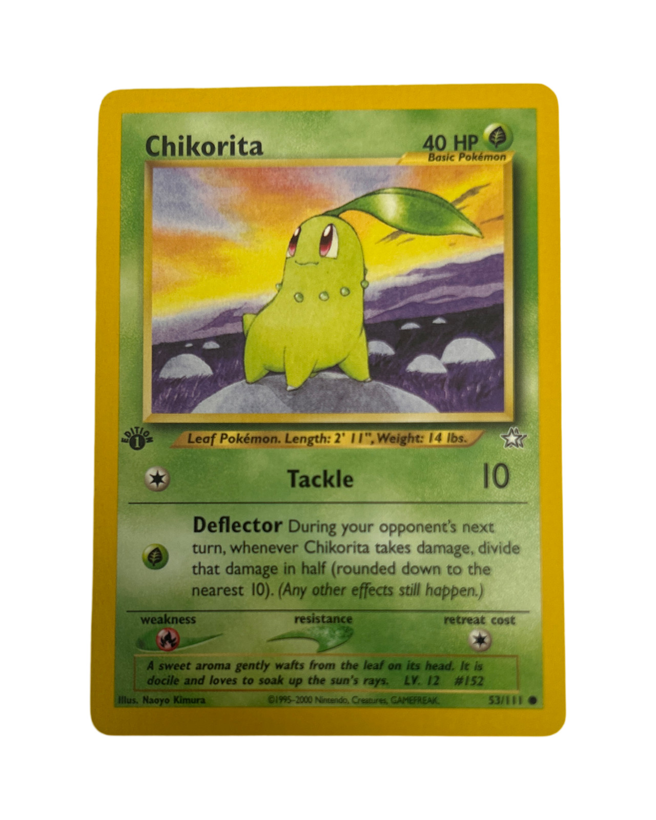 Pokemon Tcg Chikorita 53/111 1st Edition Neo Genesis  (NM)