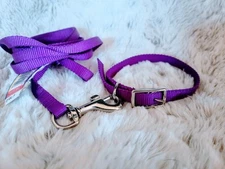 Dog Collar 12" Metal Buckle & 4' Leash Set Purple Nylon XS Pet Puppy