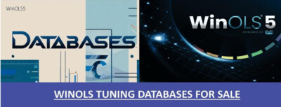 7TB Mega WinOLS Datenbank ca. 1.1 Mil. Files - ECU MAP Remap Chiptuning Tuned
