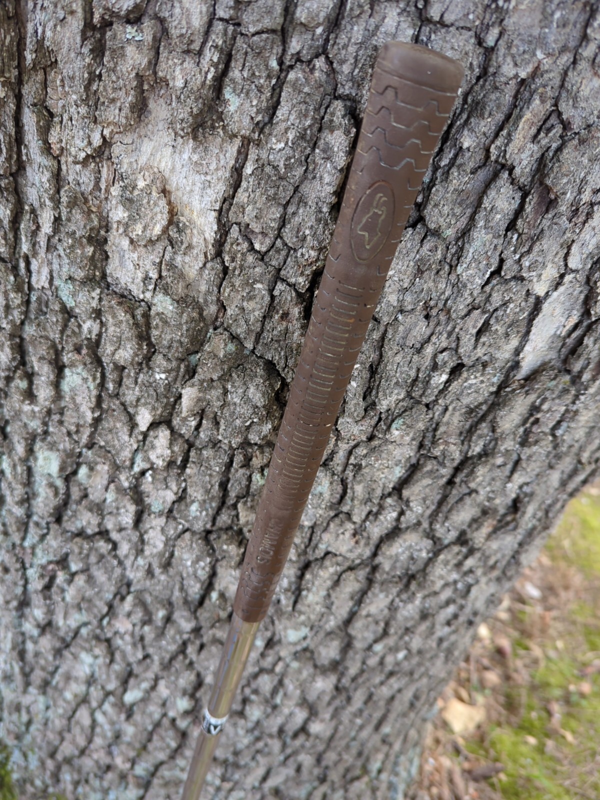 Picture 4 of 7