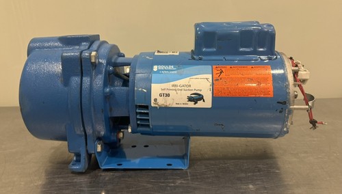 Goulds GT30 Bomba Irrigador Bomba Centrífuga MOTOR DAÑADO ¡NUEVO! ¡ENVÍO GRATUITO! - Imagen 3 de 16