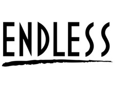 Endless Racing Brake Logo Gloss Weatherproof Decal Sticker