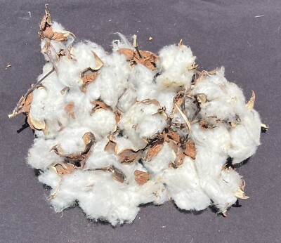avocado plant fertilizer Avocado Fertilizer Kit main image 1