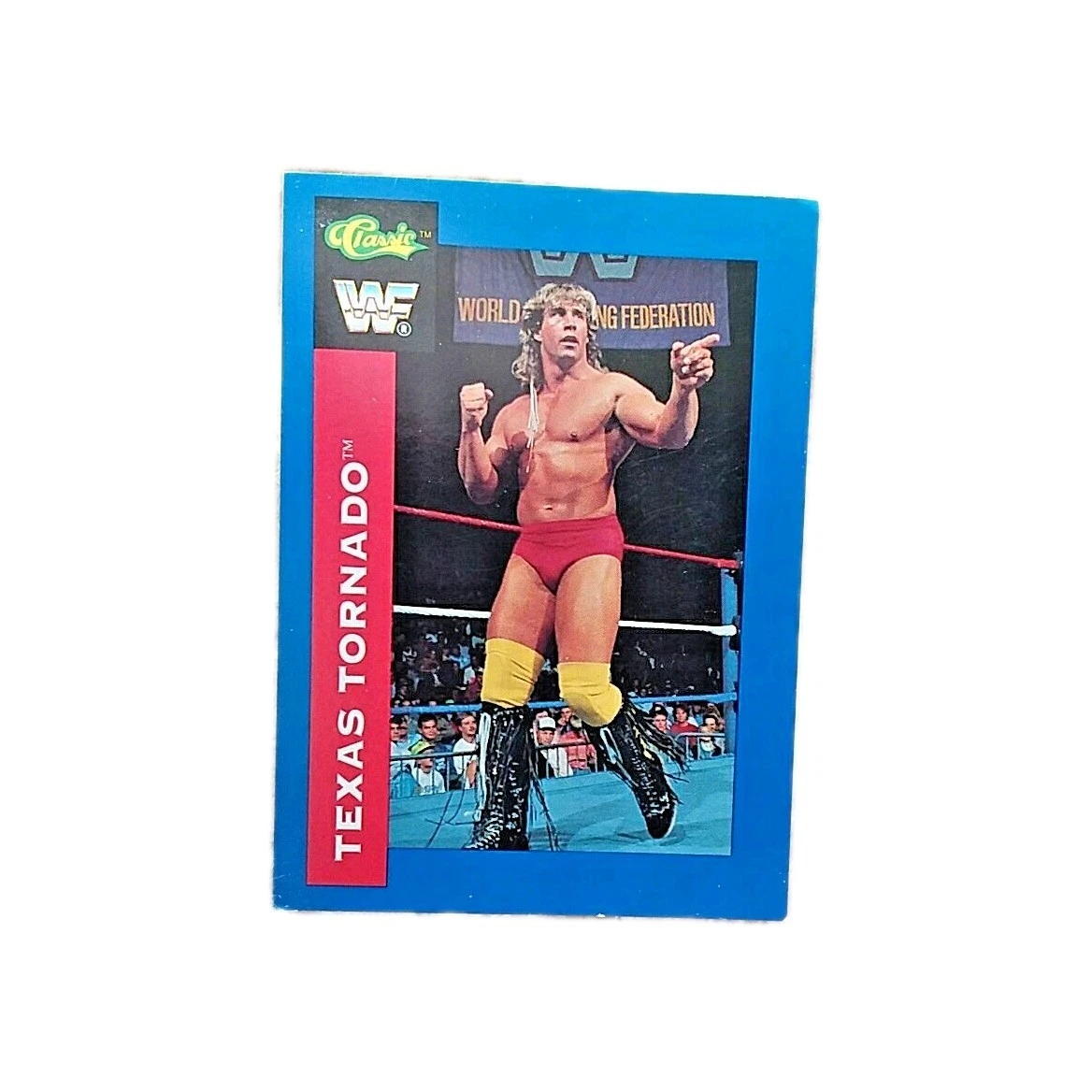 Lot Cartes à Collectionner WWF 1991 - Texas Tornado - Sélection #3,37,71,101,133,143
