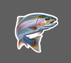 Rainbow Trout Sticker Fish Outdoor Wildlife Nature Gift Waterproof NEW