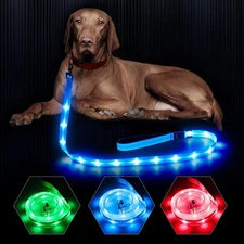 BSEEN LED Dog Leash - 4 Ft Light Up Dog Leash Rechargeable Glowing Pet Leash ...