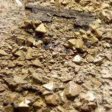 Pyrite on Bonebed Garden Cliff Westbury Gloucestershire UK Mineral Specimen 14cm