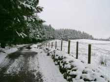 Photo 6x4 Track below Moyne Moor Gabroc Hill The track from Lochend Hill  c2009