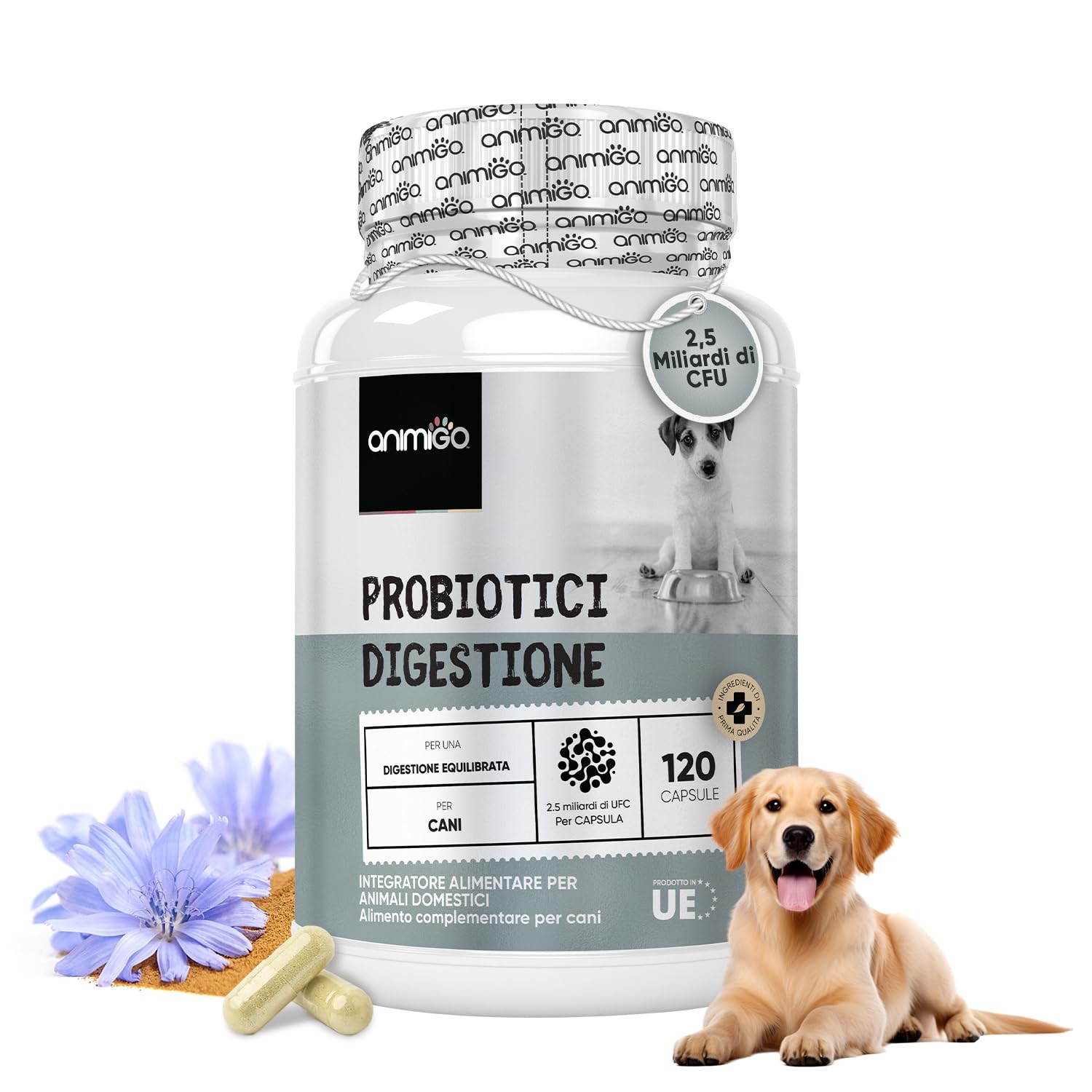 Probiotici Avanzati Cane 2.0: Enzimi Digestivi e Bio-Immunità