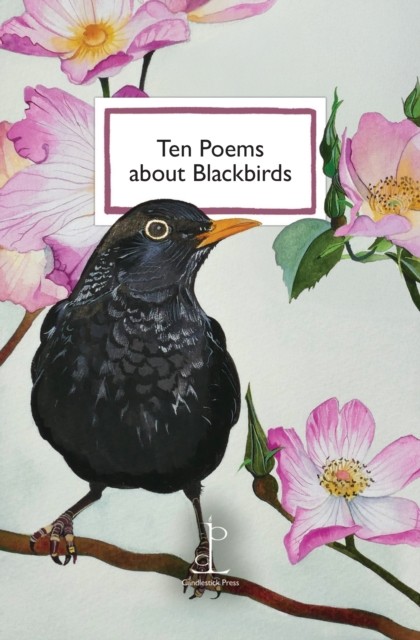 Ten Poems about Blackbirds PAPERBACK 9781913627560 - Image 3