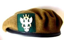 MERCIAN REGIMENT BERET & METAL CAP BADGE - BRITISH ARMY VETERAN,