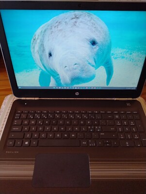 HP Pavilion 15-aw003no, AMD A6-9210, 8GB RAM, 128GB SSD, FullHD, Win 11 Pro