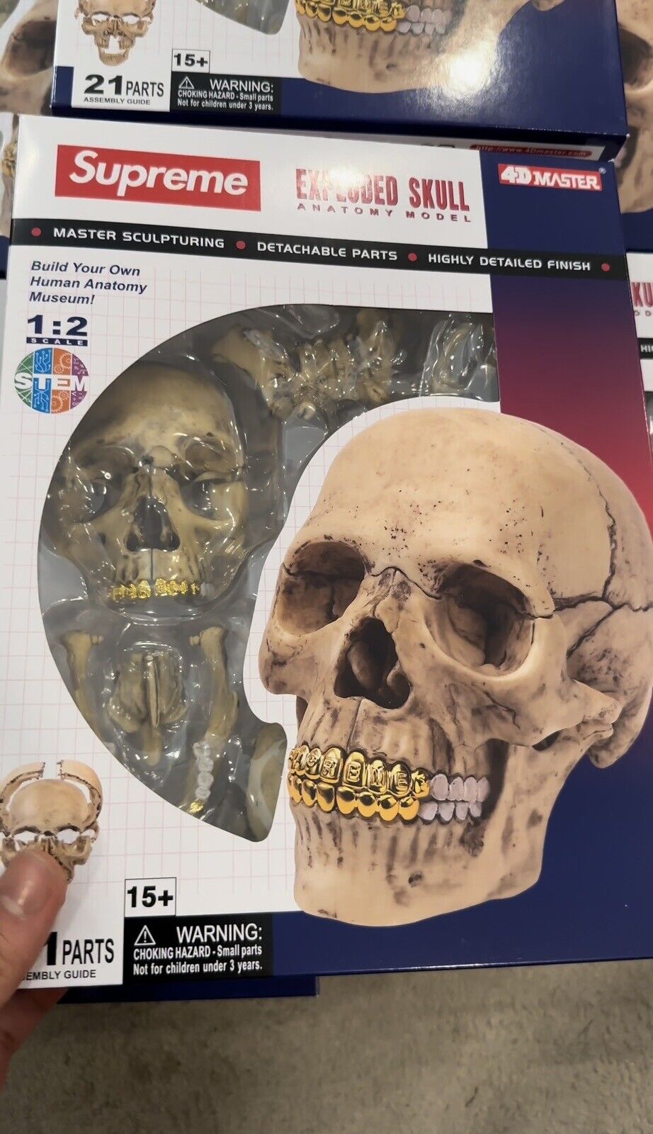 Supreme 4D Model Human Skull With Gold Grills FW23! Brand New! In Hand!