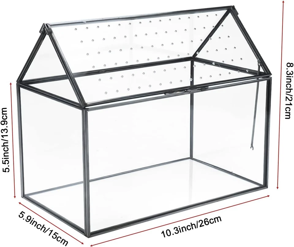 10.3x8.3x5.9 inch Large Geometric Terrarium for Succulents & Small Creatures - Image 2 of 4
